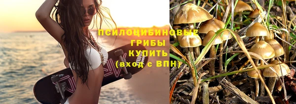 стаф Михайловка