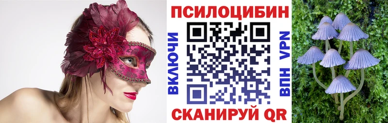 наркошоп  Николаевск-на-Амуре  Псилоцибиновые грибы Psilocybe 